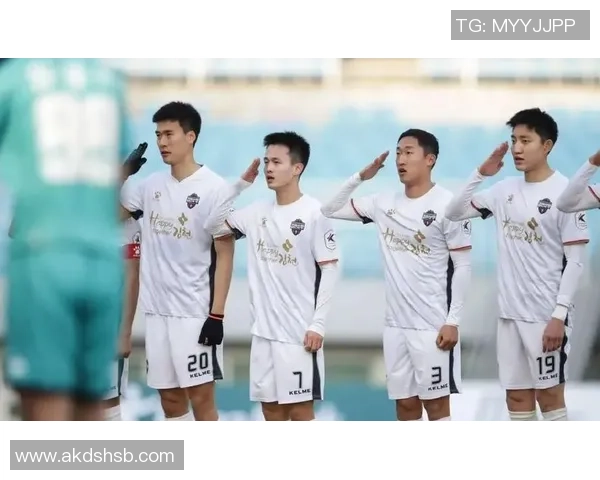 2019年韩K联庆南队对阵城南队精彩赛事回顾与分析